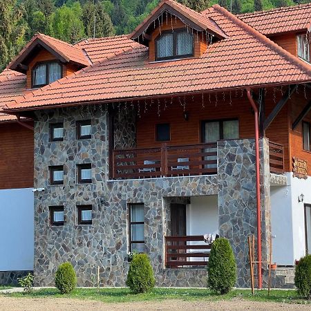 Pensiunea Pietrosul Rodnei Moisei Exterior photo