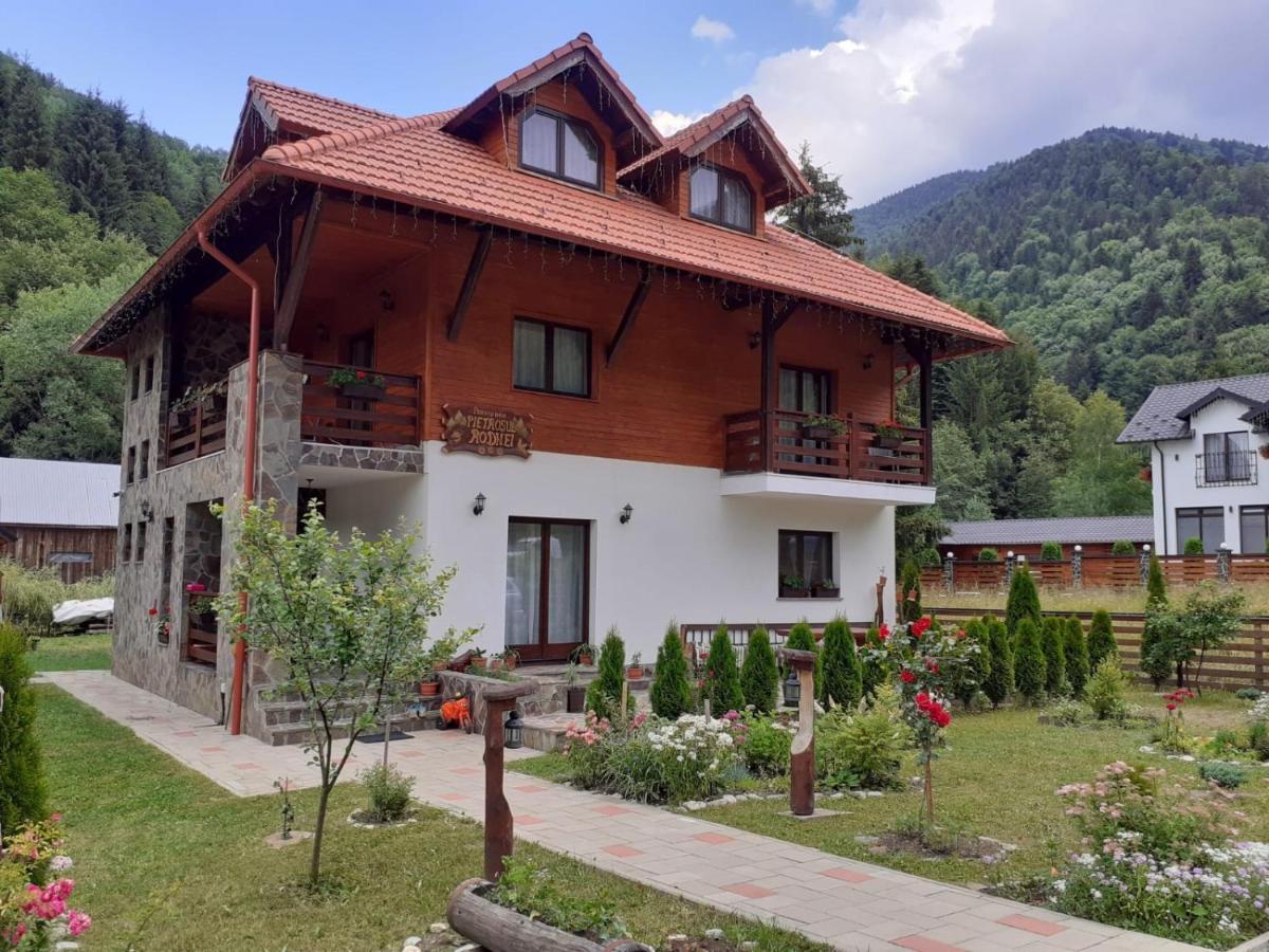 Pensiunea Pietrosul Rodnei Moisei Exterior photo